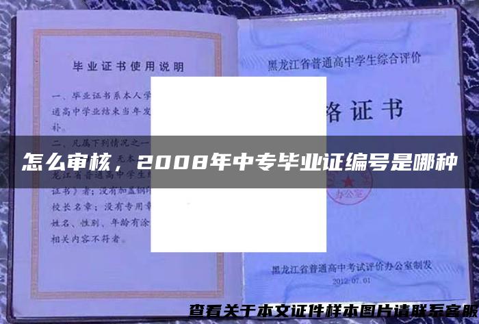 怎么审核，2008年中专毕业证编号是哪种