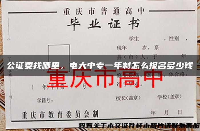 公证要找哪里，电大中专一年制怎么报名多少钱