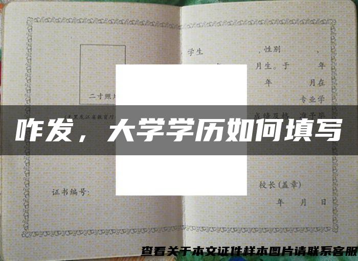 咋发，大学学历如何填写