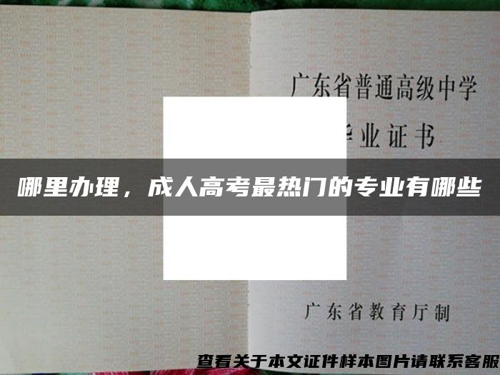 哪里办理，成人高考最热门的专业有哪些