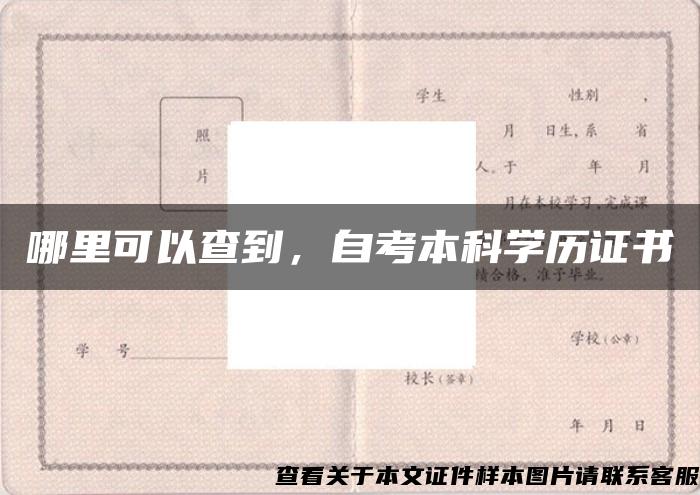 哪里可以查到，自考本科学历证书