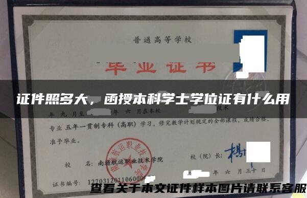 证件照多大，函授本科学士学位证有什么用