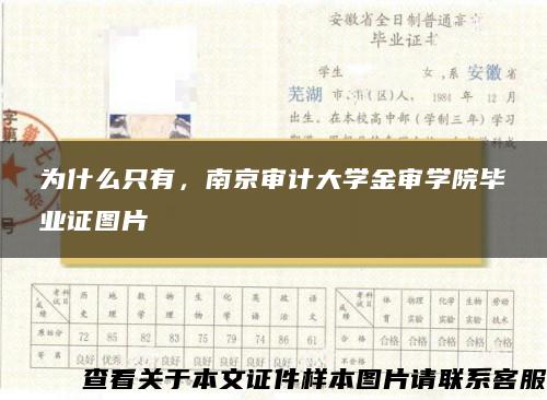 为什么只有，南京审计大学金审学院毕业证图片