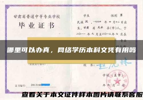 哪里可以办真，网络学历本科文凭有用吗