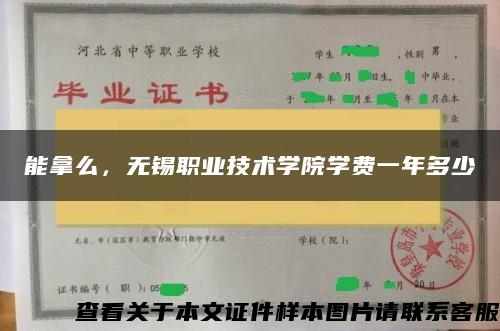 能拿么，无锡职业技术学院学费一年多少