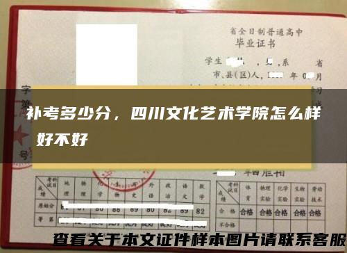 补考多少分，四川文化艺术学院怎么样 好不好