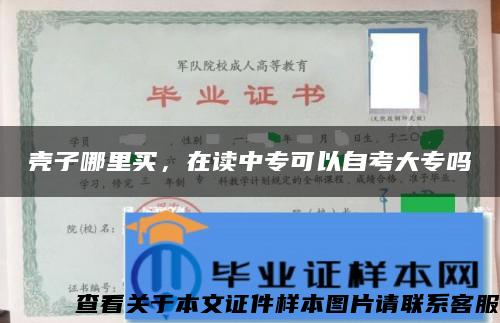 壳子哪里买，在读中专可以自考大专吗