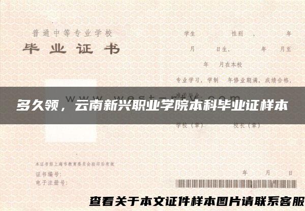 多久领，云南新兴职业学院本科毕业证样本