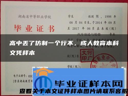 高中丢了仿制一个行不，成人教育本科文凭样本