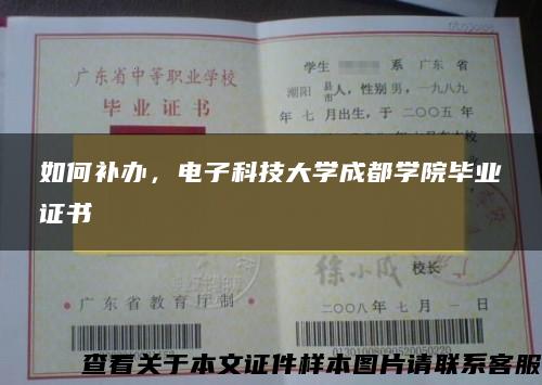 如何补办，电子科技大学成都学院毕业证书