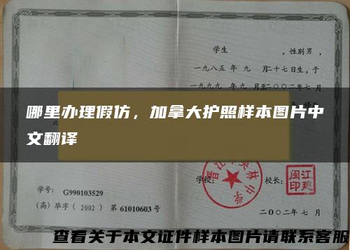 哪里办理假仿，加拿大护照样本图片中文翻译