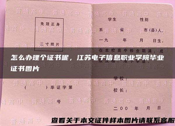 怎么办理个证书呢，江苏电子信息职业学院毕业证书图片