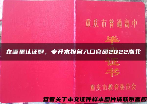 在哪里认证啊，专升本报名入口官网2022湖北