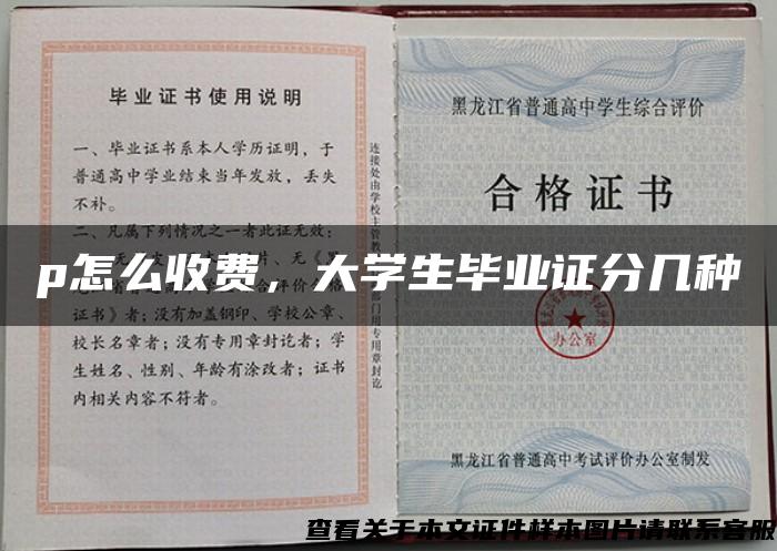 p怎么收费，大学生毕业证分几种