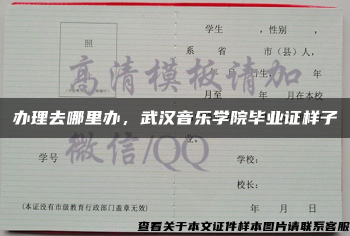 办理去哪里办，武汉音乐学院毕业证样子