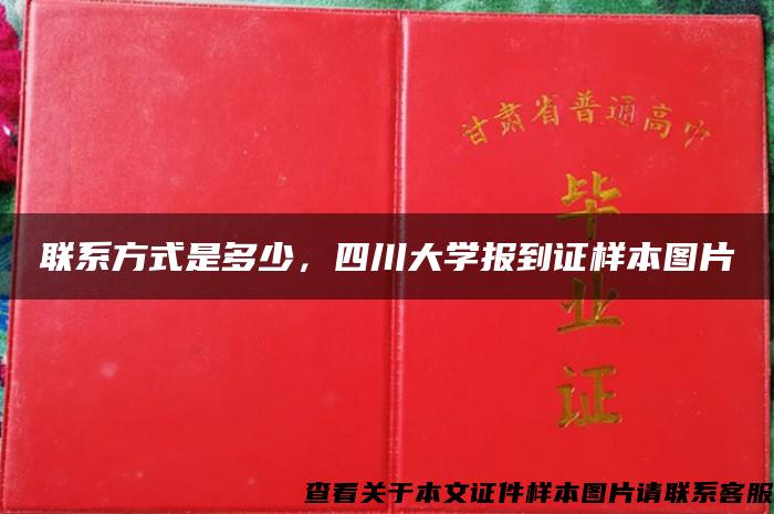 联系方式是多少，四川大学报到证样本图片