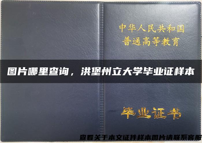 图片哪里查询，洪堡州立大学毕业证样本