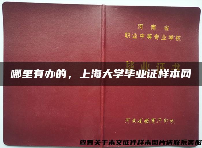 哪里有办的，上海大学毕业证样本网