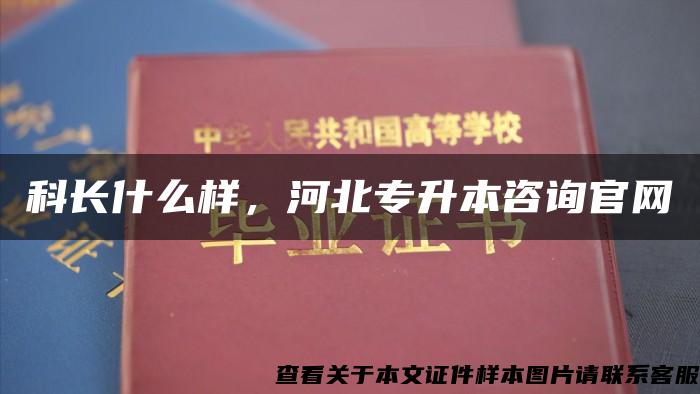 科长什么样，河北专升本咨询官网