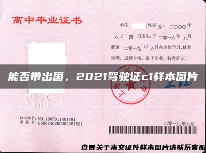 能否带出国，2021驾驶证c1样本图片