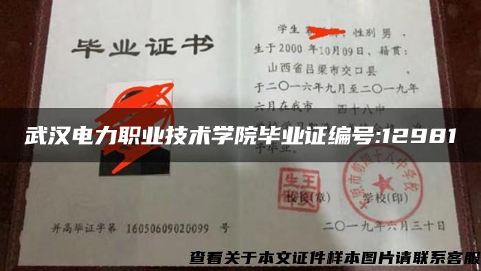 武汉电力职业技术学院毕业证编号:12981