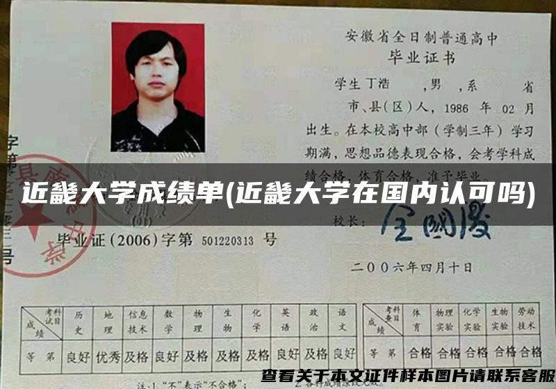 近畿大学成绩单(近畿大学在国内认可吗)