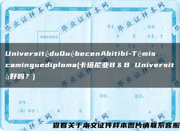 UniversitéduQuébecenAbitibi-Témiscaminguediploma(卡塔尼亚B＆B Università好吗？)