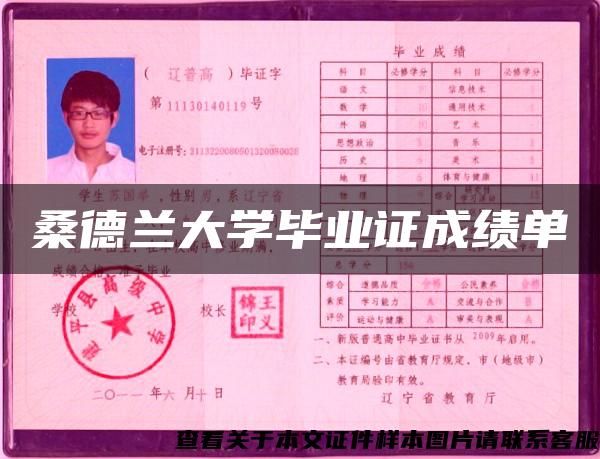 桑德兰大学毕业证成绩单