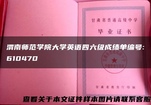 渭南师范学院大学英语四六级成绩单编号:610470