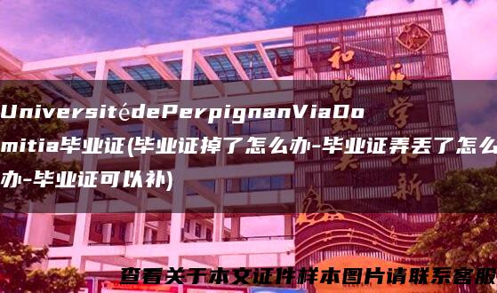 UniversitédePerpignanViaDomitia毕业证(毕业证掉了怎么办-毕业证弄丢了怎么办-毕业证可以补)