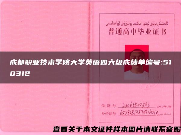 成都职业技术学院大学英语四六级成绩单编号:510312