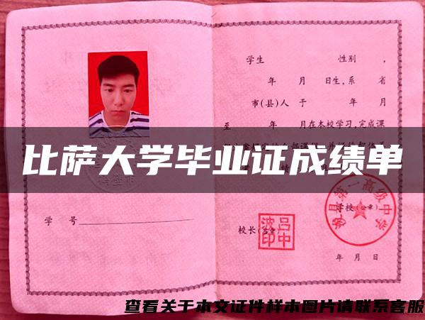 比萨大学毕业证成绩单