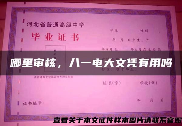 哪里审核，八一电大文凭有用吗