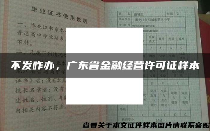 不发咋办，广东省金融经营许可证样本