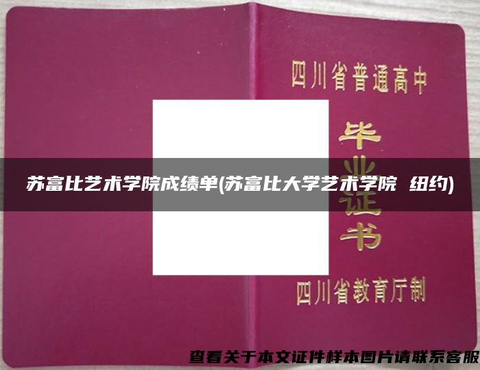 苏富比艺术学院成绩单(苏富比大学艺术学院 纽约)