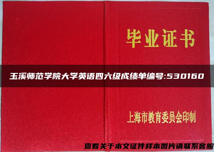 玉溪师范学院大学英语四六级成绩单编号:530160