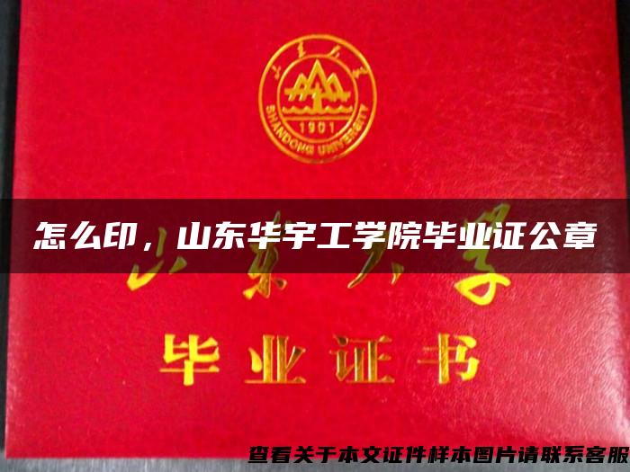 怎么印，山东华宇工学院毕业证公章