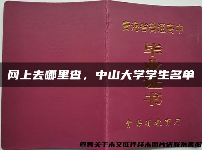 网上去哪里查，中山大学学生名单