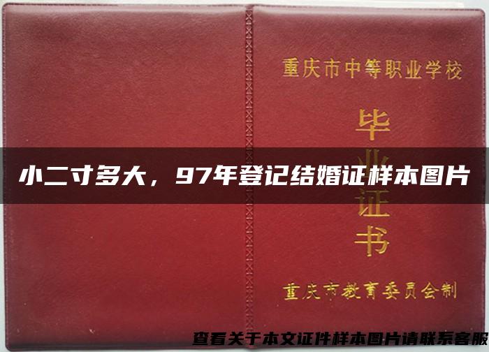 小二寸多大，97年登记结婚证样本图片