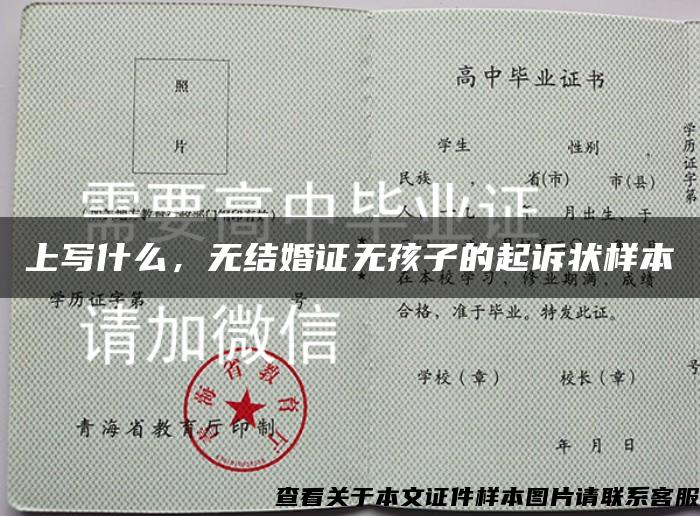 上写什么，无结婚证无孩子的起诉状样本