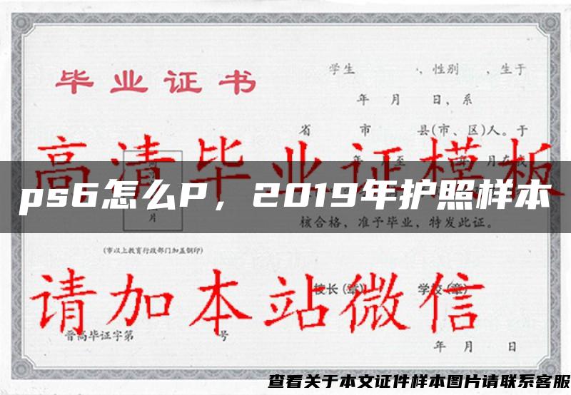 ps6怎么P，2019年护照样本