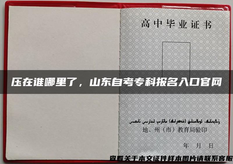 压在谁哪里了，山东自考专科报名入口官网