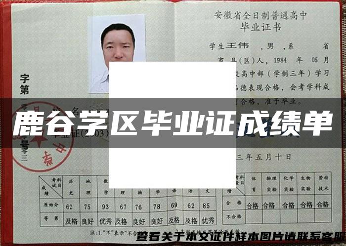 鹿谷学区毕业证成绩单