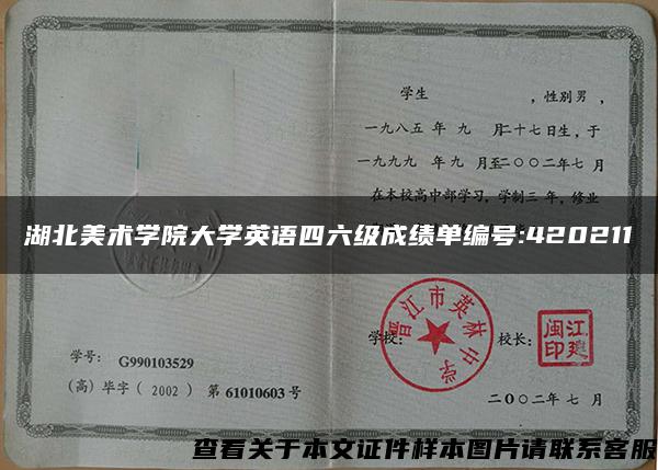 湖北美术学院大学英语四六级成绩单编号:420211