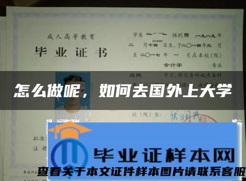 怎么做呢，如何去国外上大学