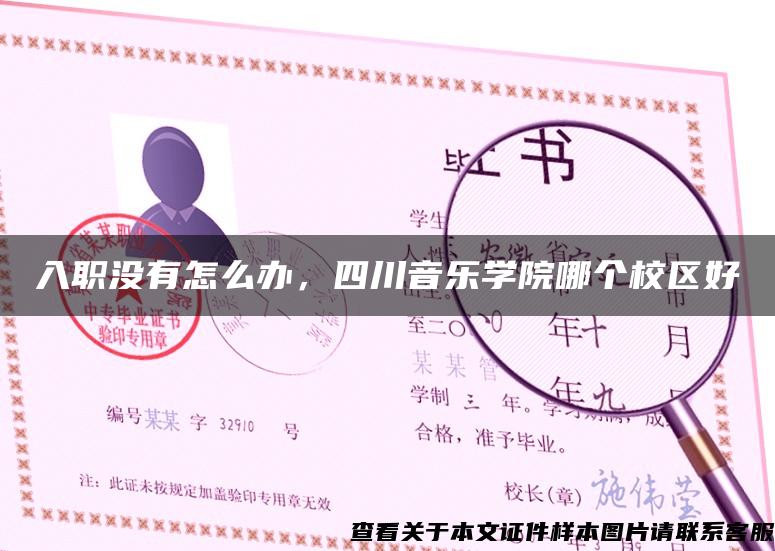 入职没有怎么办，四川音乐学院哪个校区好