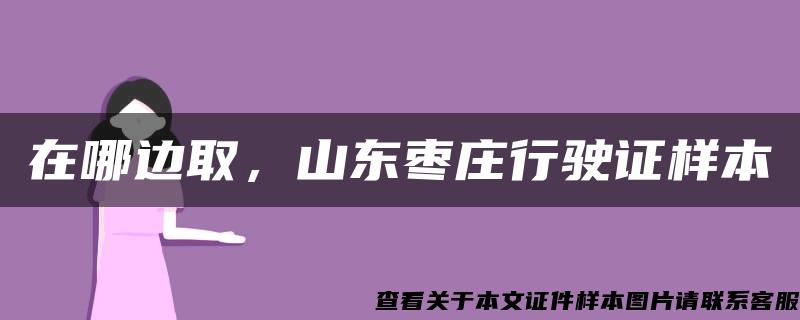 在哪边取，山东枣庄行驶证样本