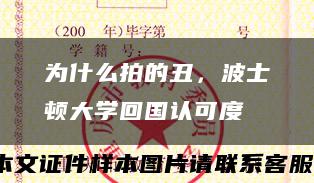 为什么拍的丑，波士顿大学回国认可度