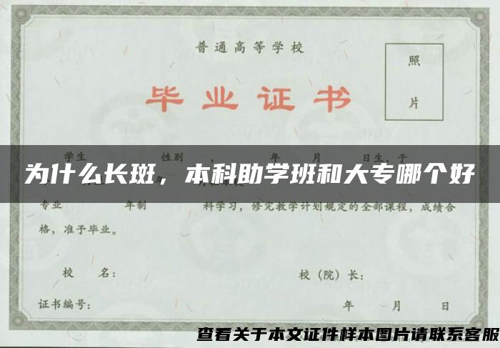 为什么长斑，本科助学班和大专哪个好