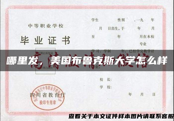 哪里发，美国布鲁克斯大学怎么样